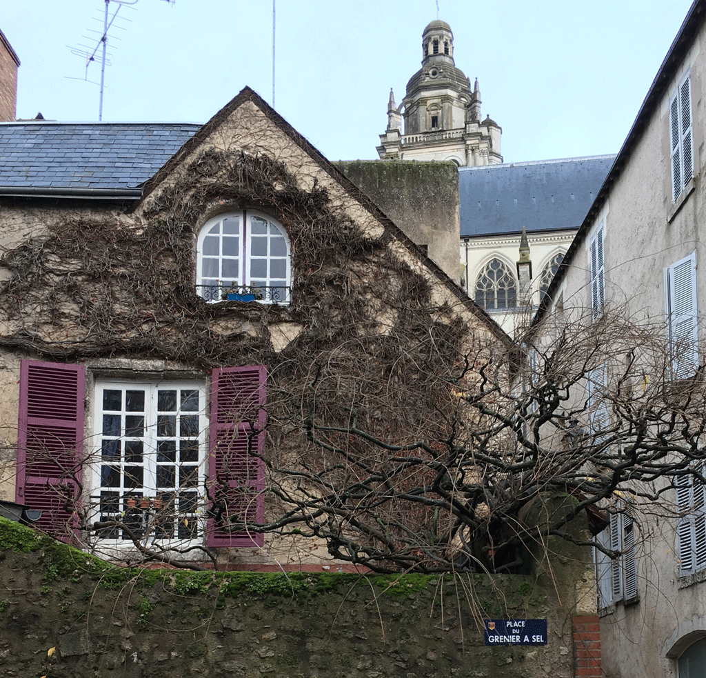 List 95+ Pictures the house with the purple shutters is quaint Stunning